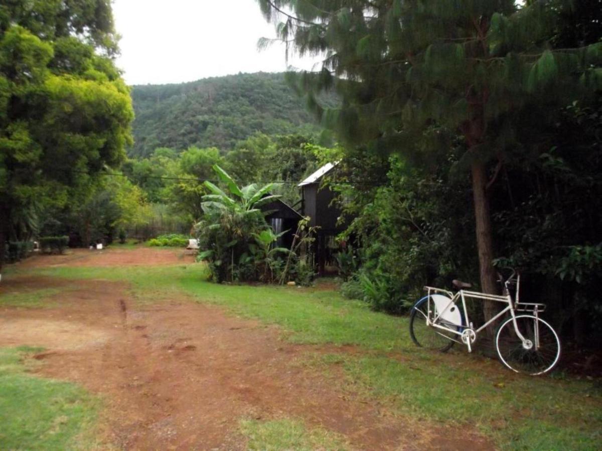 بيت شباب Sabie Gypsy'S Backpackers المظهر الخارجي الصورة